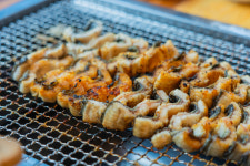 우둠지풍천장어