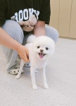 코코마리