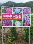 동부수국농원