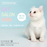 신사숙묘