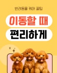 행복한펫택시