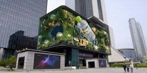 디스트릭트코리아