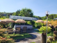 정원이있는안동펜션