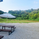 해나레