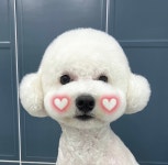 빵실빵실