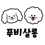 푸비살롱