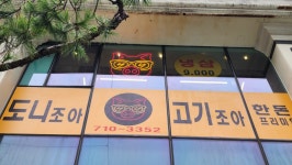 도니조아 고기조아