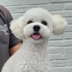 우리몽