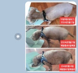 큐사랑