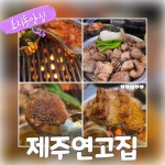 제주연고집