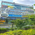 책나무 동탄목동독서논술학원