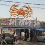 신대게나라