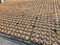 청림농원