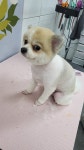더이쁜 멍살롱