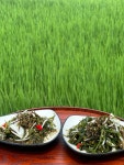 논바다