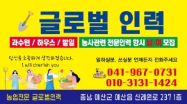 글로벌인력