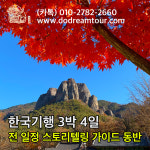 두드림여행사
