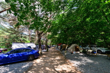 명돈골캠핑장