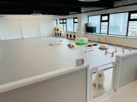 댕타운