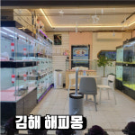김해 해피몽 김해강아지분양 고양이분양