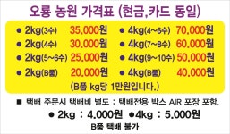 샤인머스켓 오룡농원