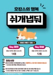 부산강아지 24시 애견미용 호텔 유치원 도그드림 서면점