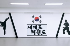 세계로태권도