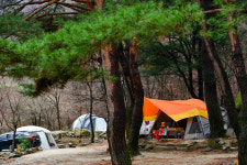 명돈골캠핑장