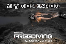 서울프리다이빙아카데미센터