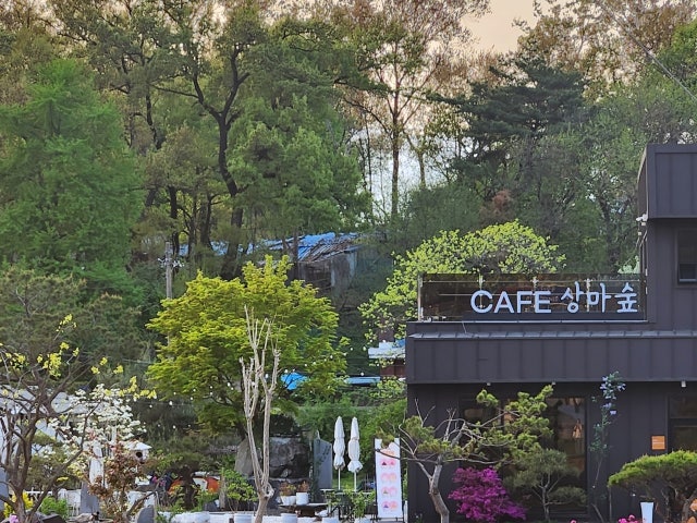 카페 상마숲