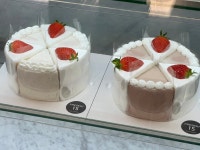프레즌트 15