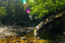 동해소금길펜션