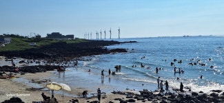 월령소라스테이