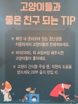 명품고양이카페