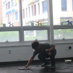 웬만해선 개들을 막을 수 없다