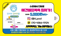 진이네강아지풀