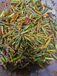 반찬나라