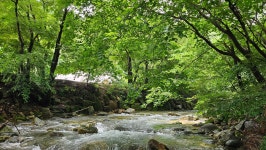 용골송어와캠핑