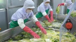 서부마을친환경농산물작목회 | 서부농산