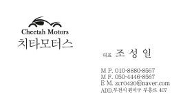 치타모터스