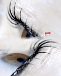아덜뷰티OtherBeauty | 아덜뷰티