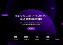 캐치미디어