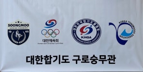 대한합기도