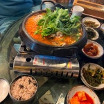 콩사랑