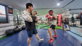 엘리트충남종합복싱체육관