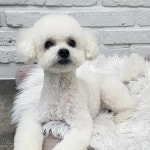 우리몽
