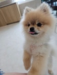 멍친카페