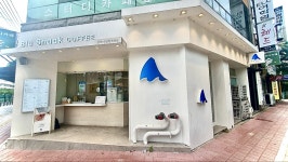블루샥 진해석동점