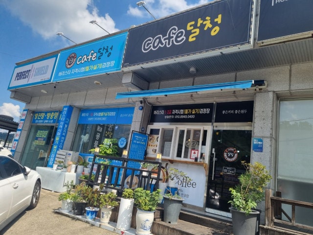 달청