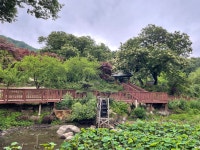 울미숲 오토캠핑장